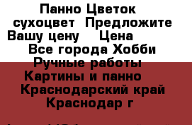 Панно Цветок - сухоцвет. Предложите Вашу цену! › Цена ­ 4 000 - Все города Хобби. Ручные работы » Картины и панно   . Краснодарский край,Краснодар г.